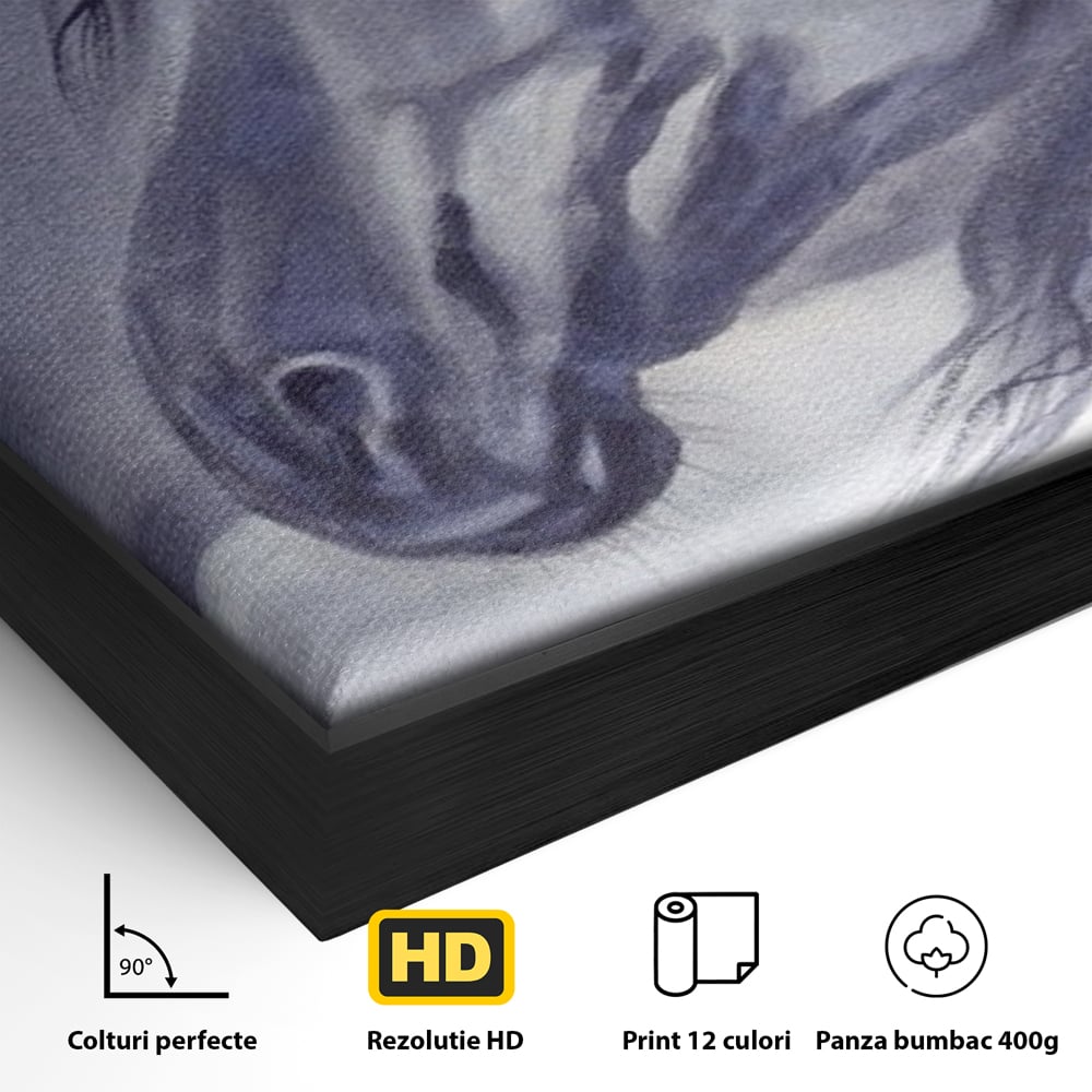 Detaliu al suprafetei: tablou canvas cu portret de cal gri, in rama de aluminiu negru